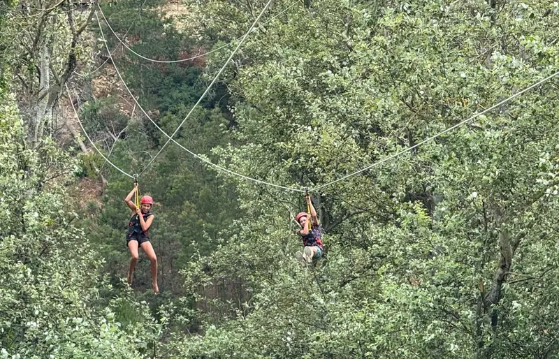 Two young riders racing each other on parallel zipline cables through the treetops