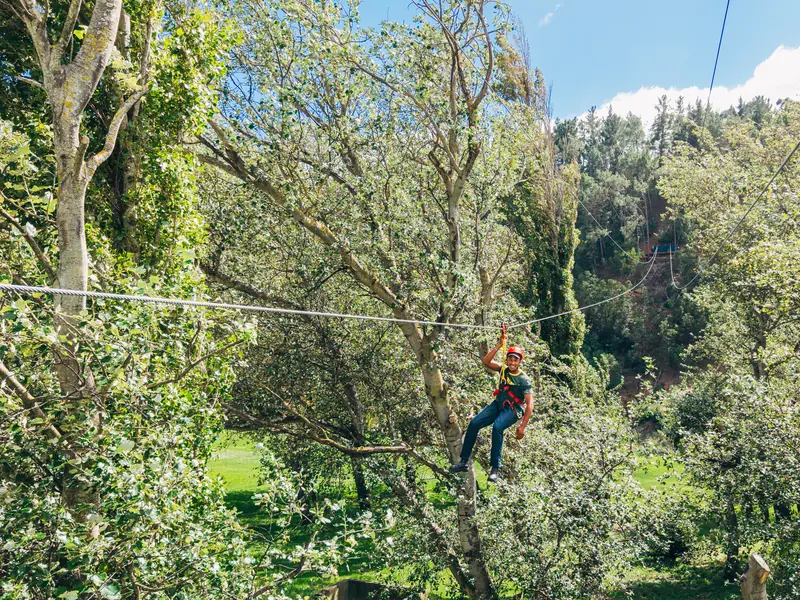 A rider gliding above apple orchard trees on the Houw Hoek Zipline near Grabouw
