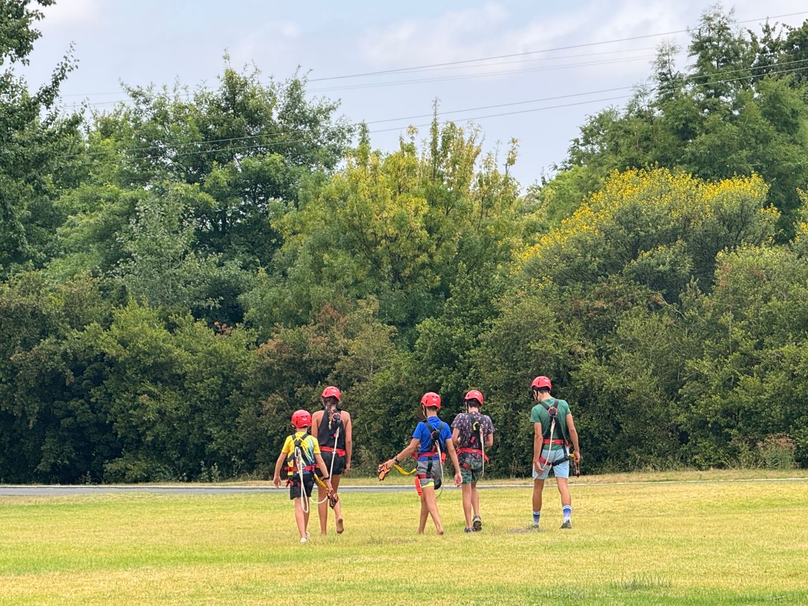 Photo 2026-01-22, 17 35 16