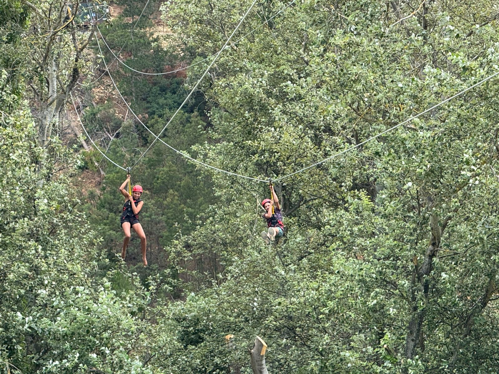 Photo 2026-01-22, 17 35 16 (1)